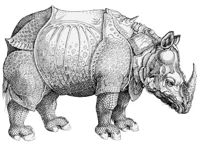 Albrecht Dürer. *Rhinoceros*(1515)