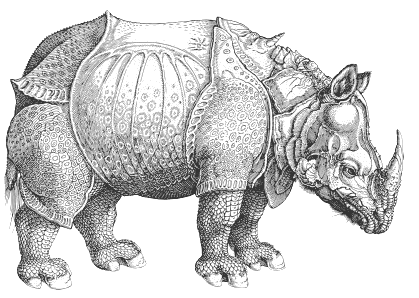 Albrecht Dürer. *Rhinoceros*(1515)
