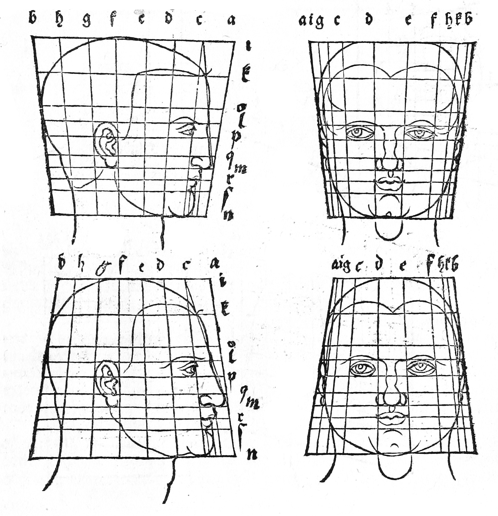 Dürer grid-deformed heads from Four Books on Human Proportion